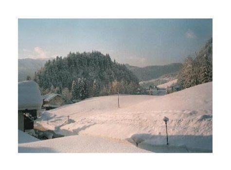 Sport-Alpin-Wohnung-1 Oberstdorf Exterior photo
